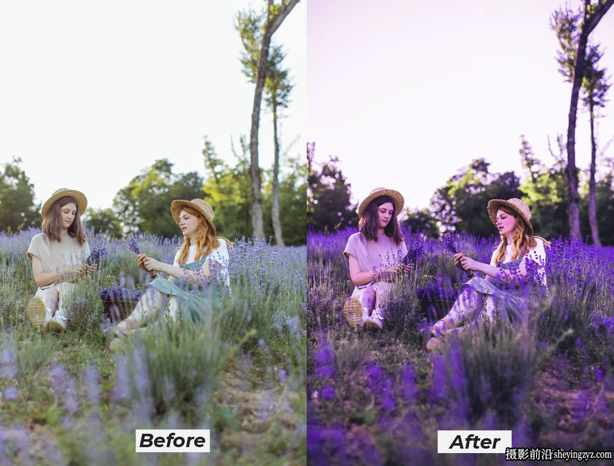 薰衣草情绪人像调色Lr预设及移动预设 Moody Lavender Lightroom Presets