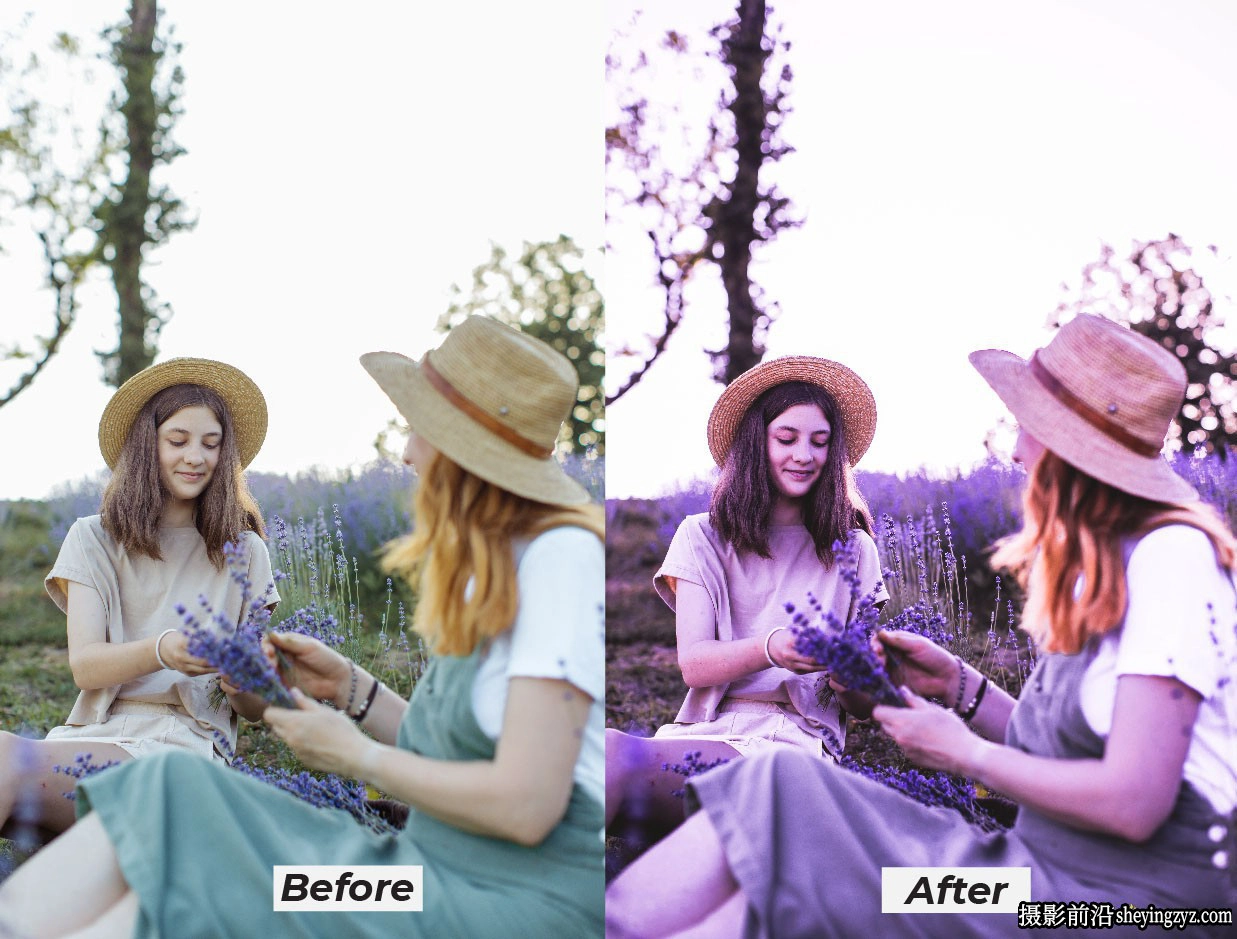 薰衣草情绪人像调色Lr预设及移动预设 Moody Lavender Lightroom Presets