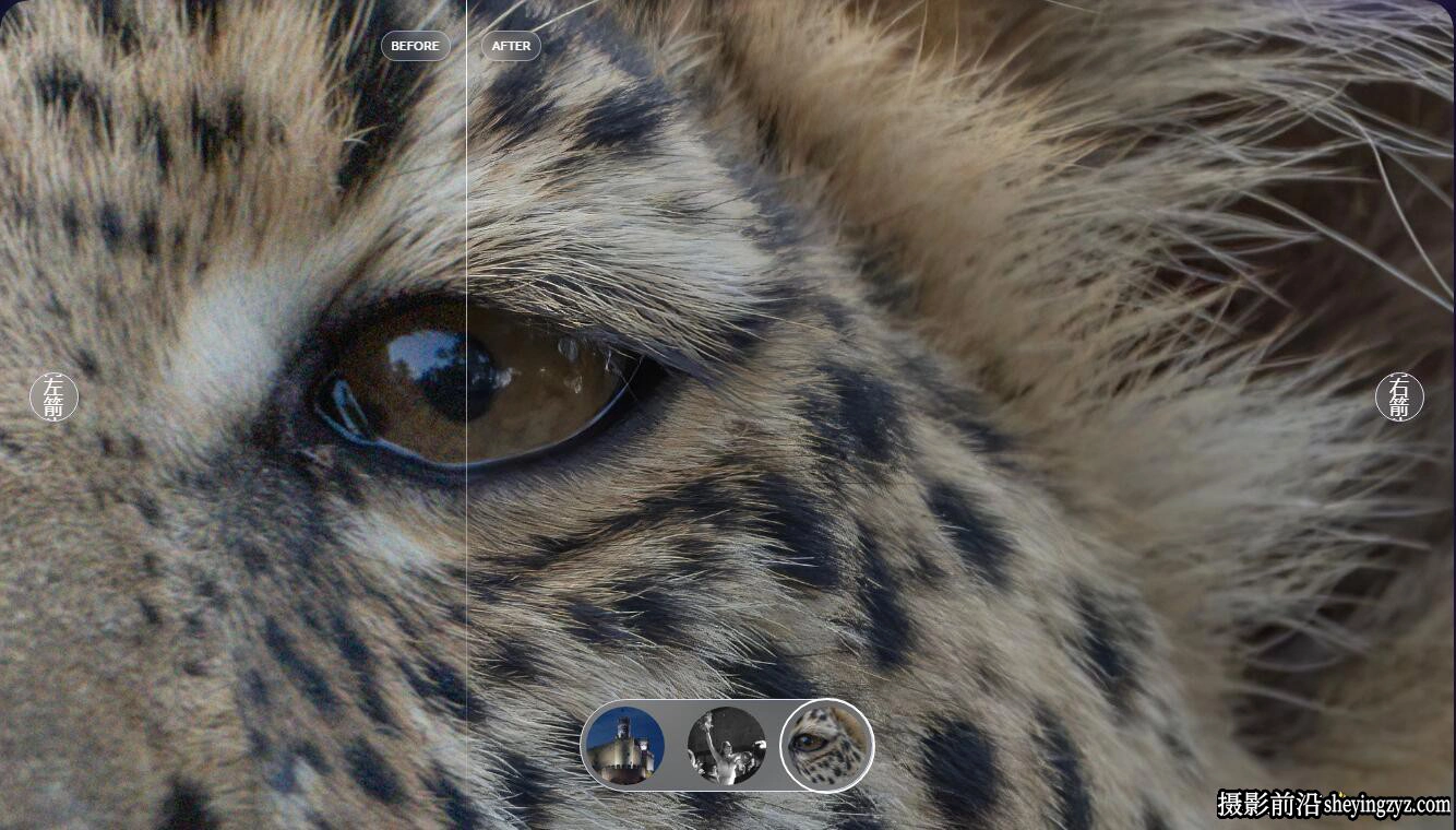 Topaz Photo AI 3.1.3 完整汉化版|图像无损放大降噪锐化插件WINX64