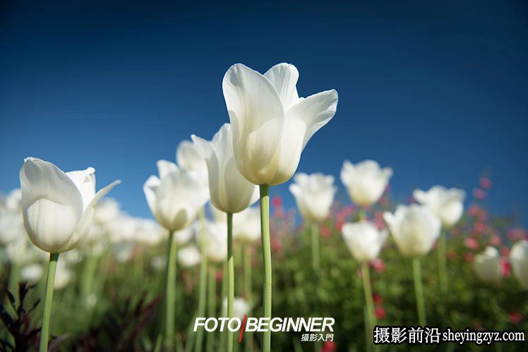 摄影入门技巧-8个提升摄影功力的必备技巧