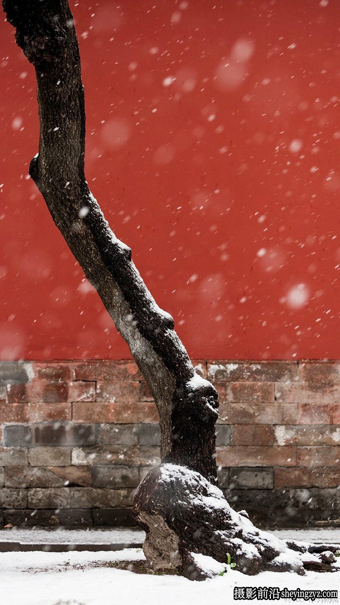 风光摄影技巧-超实用的冬季雪景拍摄技巧