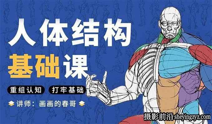 春哥-人体结构绘画基础课程第13期人体绘画教程
