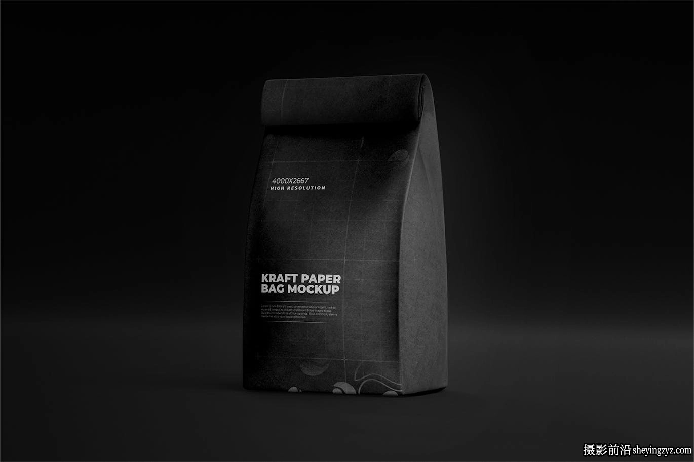 牛皮纸包装食品袋样机模型