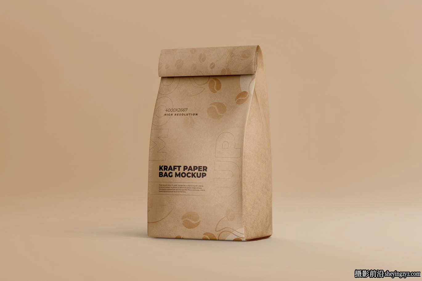 牛皮纸包装食品袋样机模型