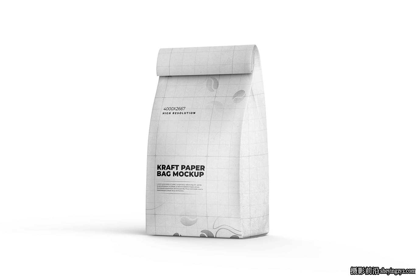 牛皮纸包装食品袋样机模型