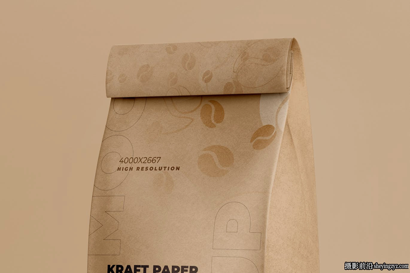 牛皮纸包装食品袋样机模型
