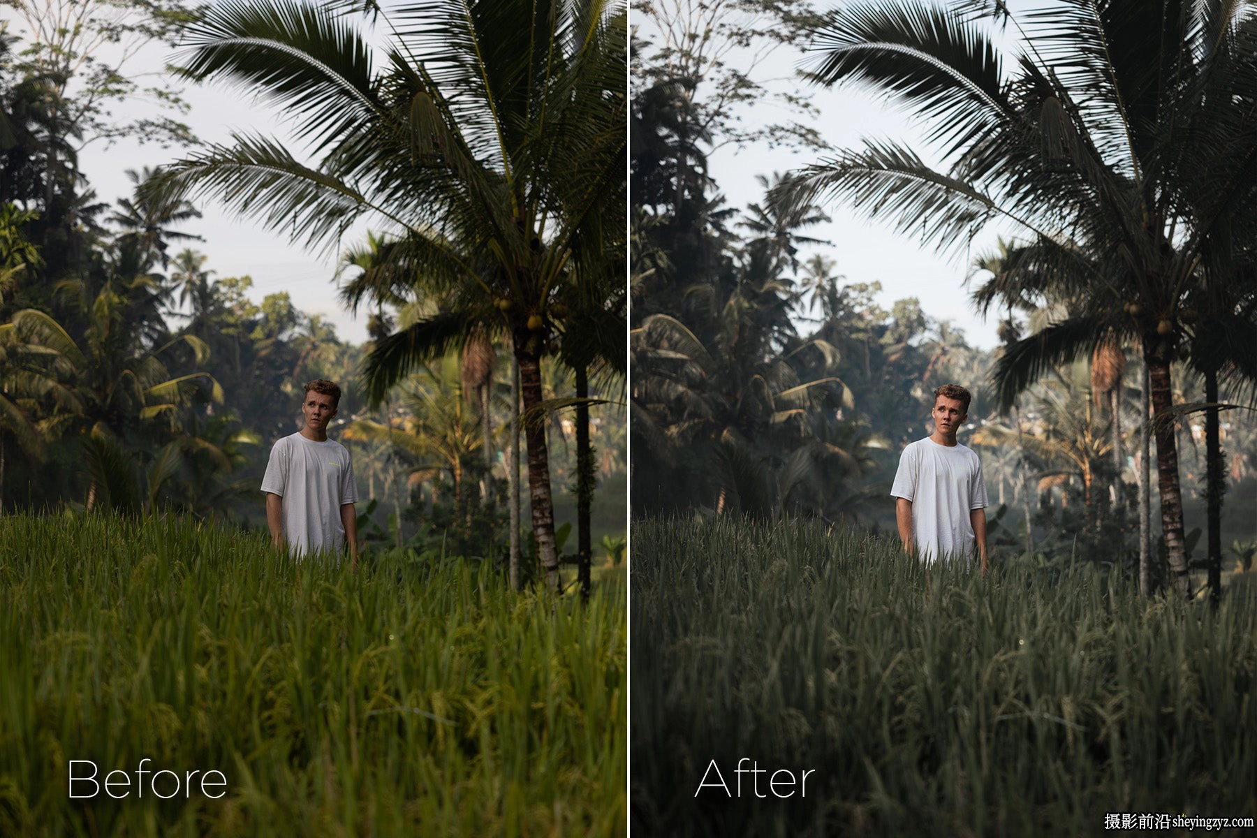 风光大师级LR预设 Zack Watson-Master Collection Lightroom Presets