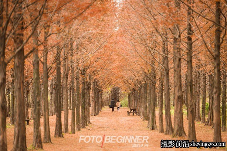 风光摄影技巧-7个拍出漂亮秋天风景的技巧