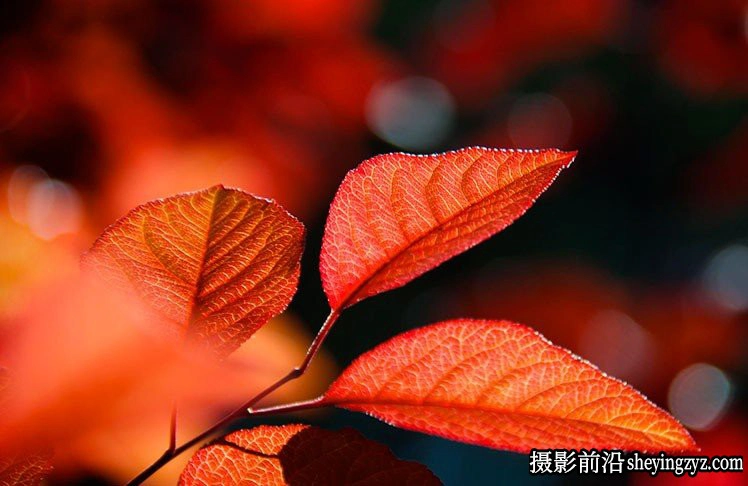 风光摄影技巧-7个拍出漂亮秋天风景的技巧
