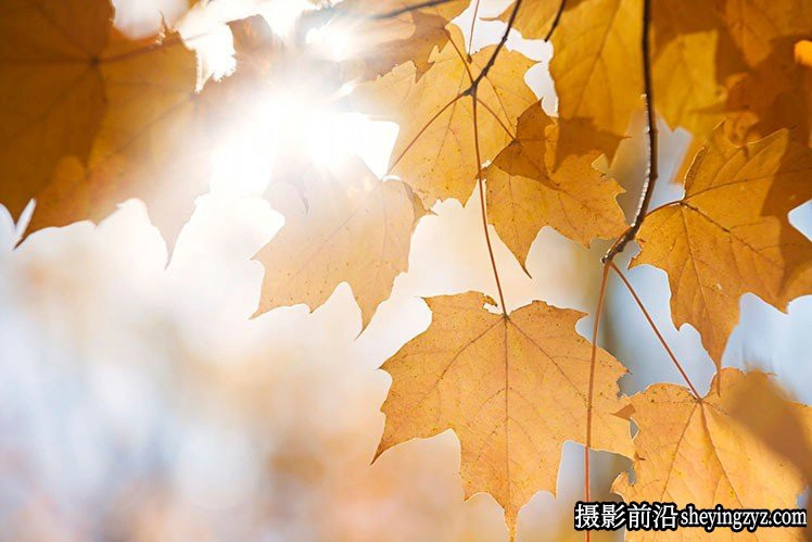 风光摄影技巧-7个拍出漂亮秋天风景的技巧