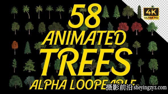 AE模板- 58种树木动画视频素材58 Animated Trees Alpha Loop Pack 4K