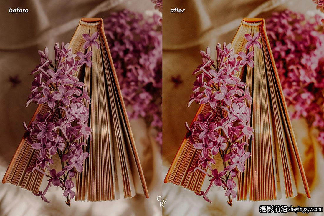 15种高品质春季人像后期调色lr预设 Spring Tones Lightroom Presets