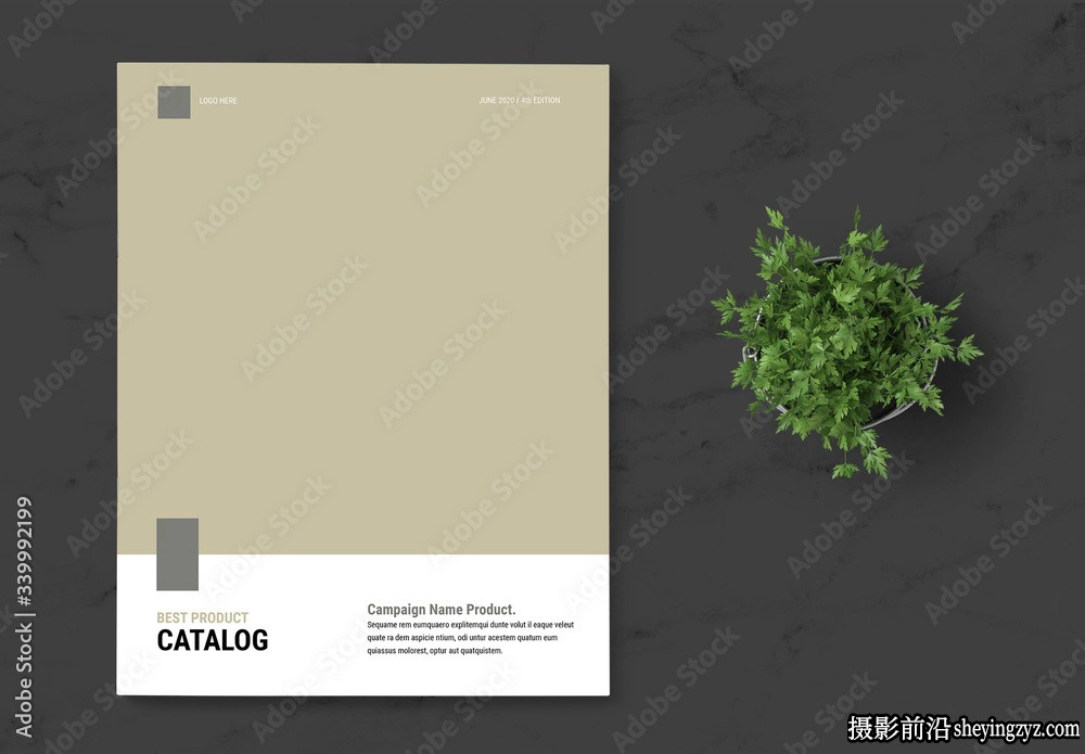 产品目录布局InDesign模板