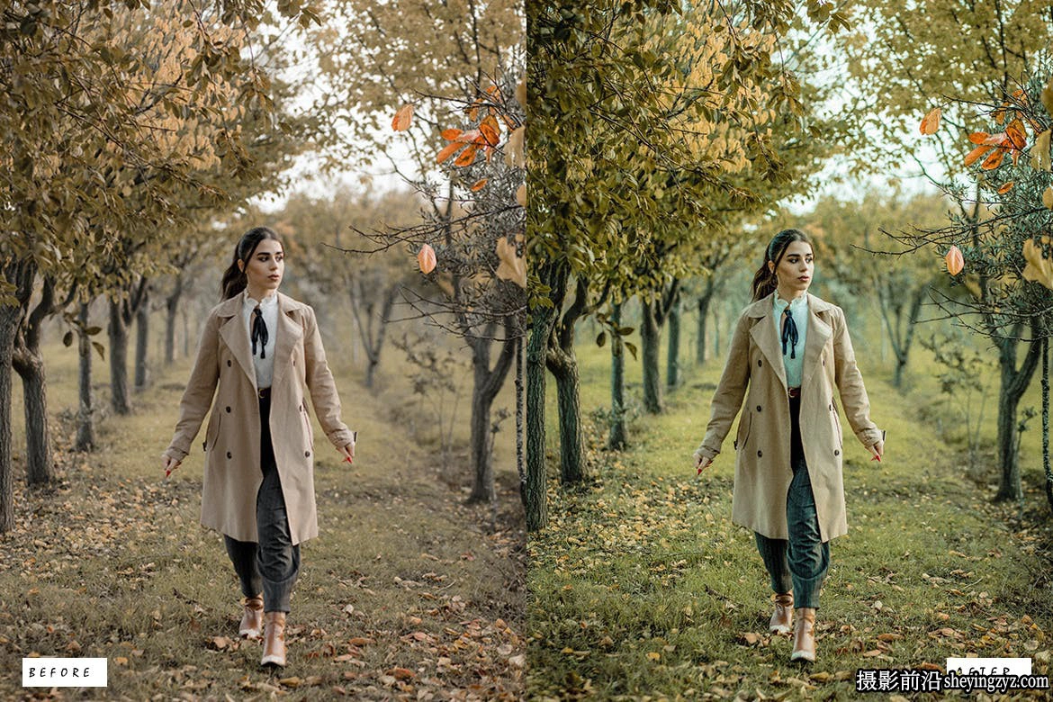 专业旅拍风光人像后期调色Lightroom预设 Landscape Lightroom Presets