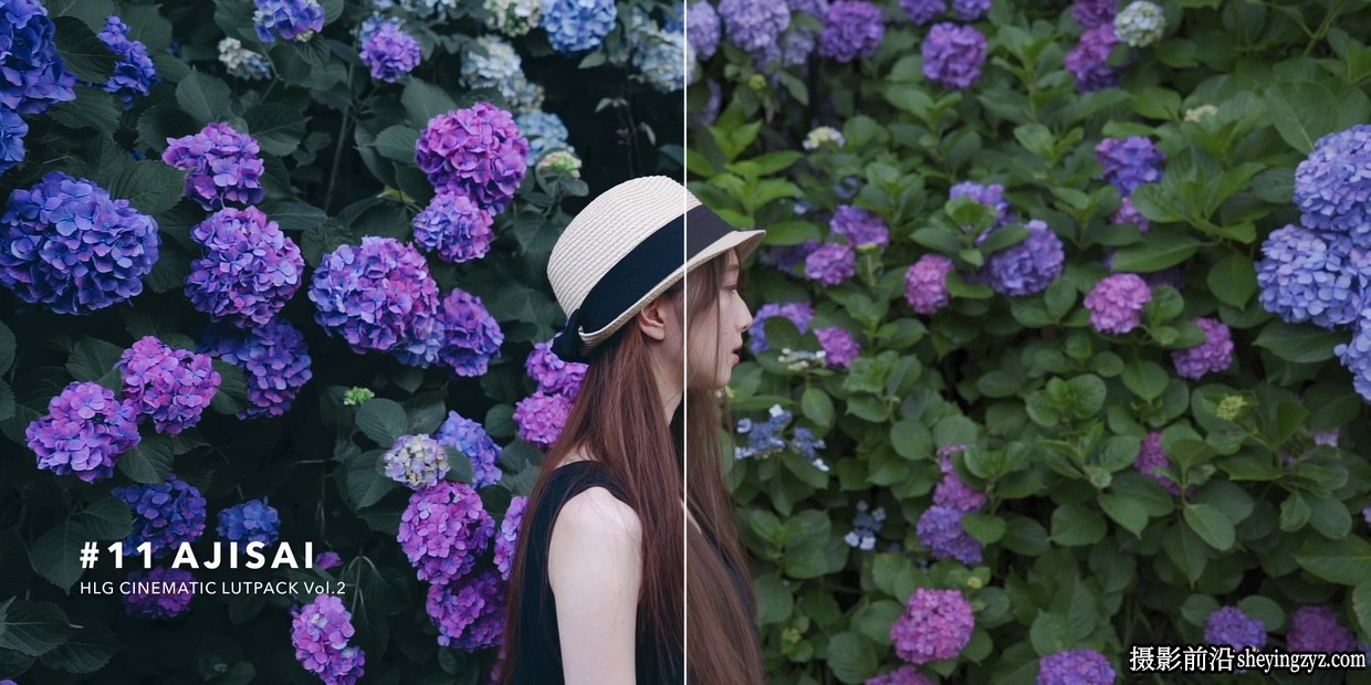 AUXOUT索尼HLG日系清新色彩分级LUT预设 HLG CINEMATIC LUT PACK