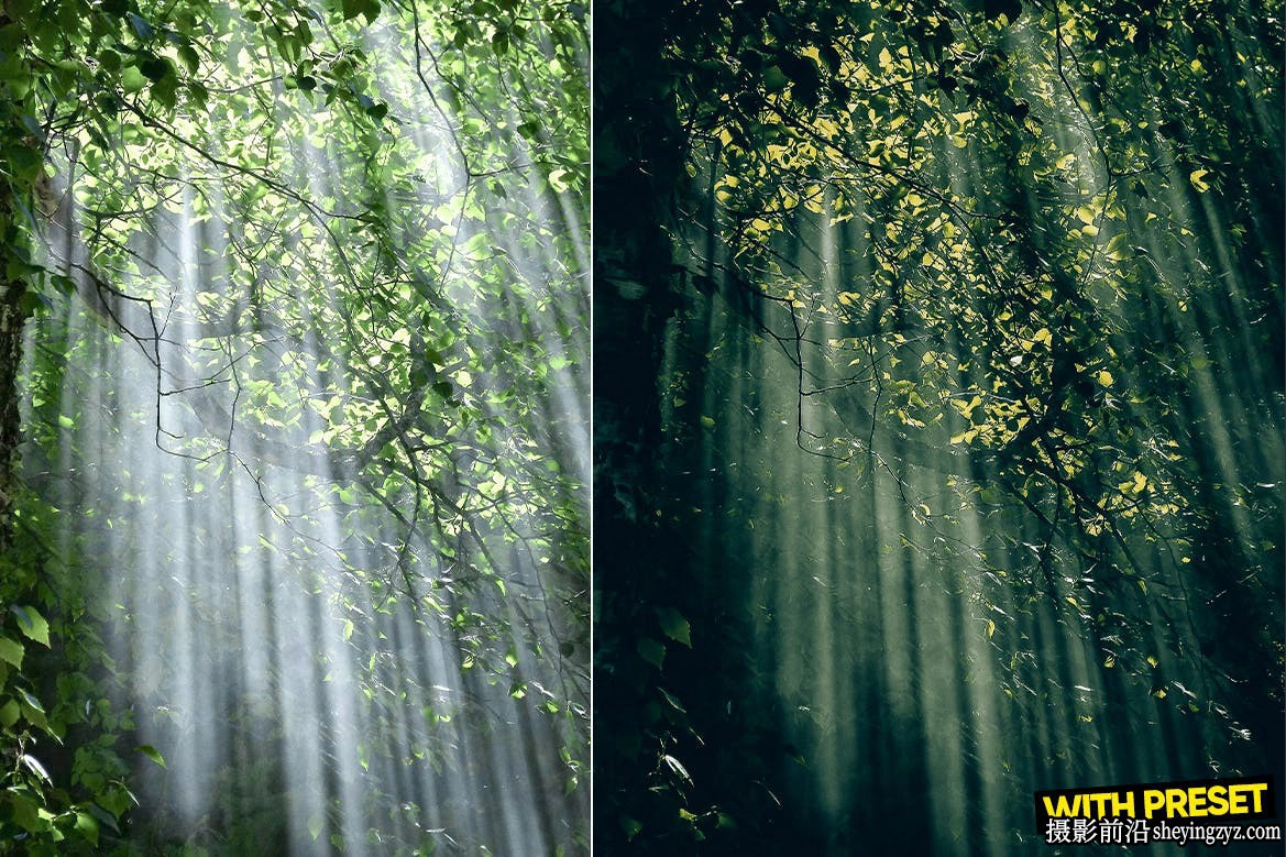 无人机森系风光后期调色LR预设 ARTA - Green Haven Lightroom Presets