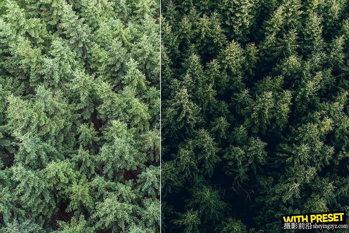 无人机森系风光后期调色LR预设 ARTA - Green Haven Lightroom Presets