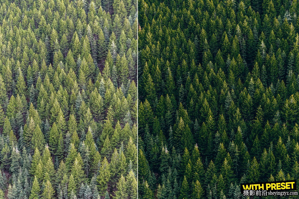 无人机森系风光后期调色LR预设 ARTA - Green Haven Lightroom Presets