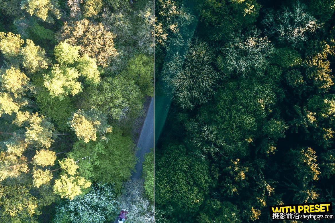 无人机森系风光后期调色LR预设 ARTA - Green Haven Lightroom Presets