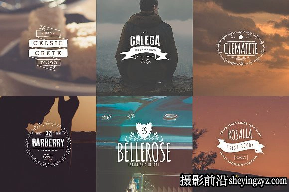 终极1500+Logo标志徽标样机合集 Logos Bundle Collection