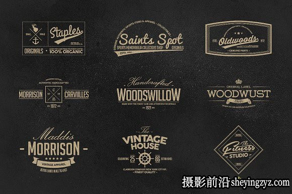 终极1500+Logo标志徽标样机合集 Logos Bundle Collection