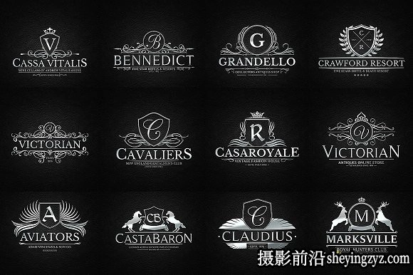 终极1500+Logo标志徽标样机合集 Logos Bundle Collection