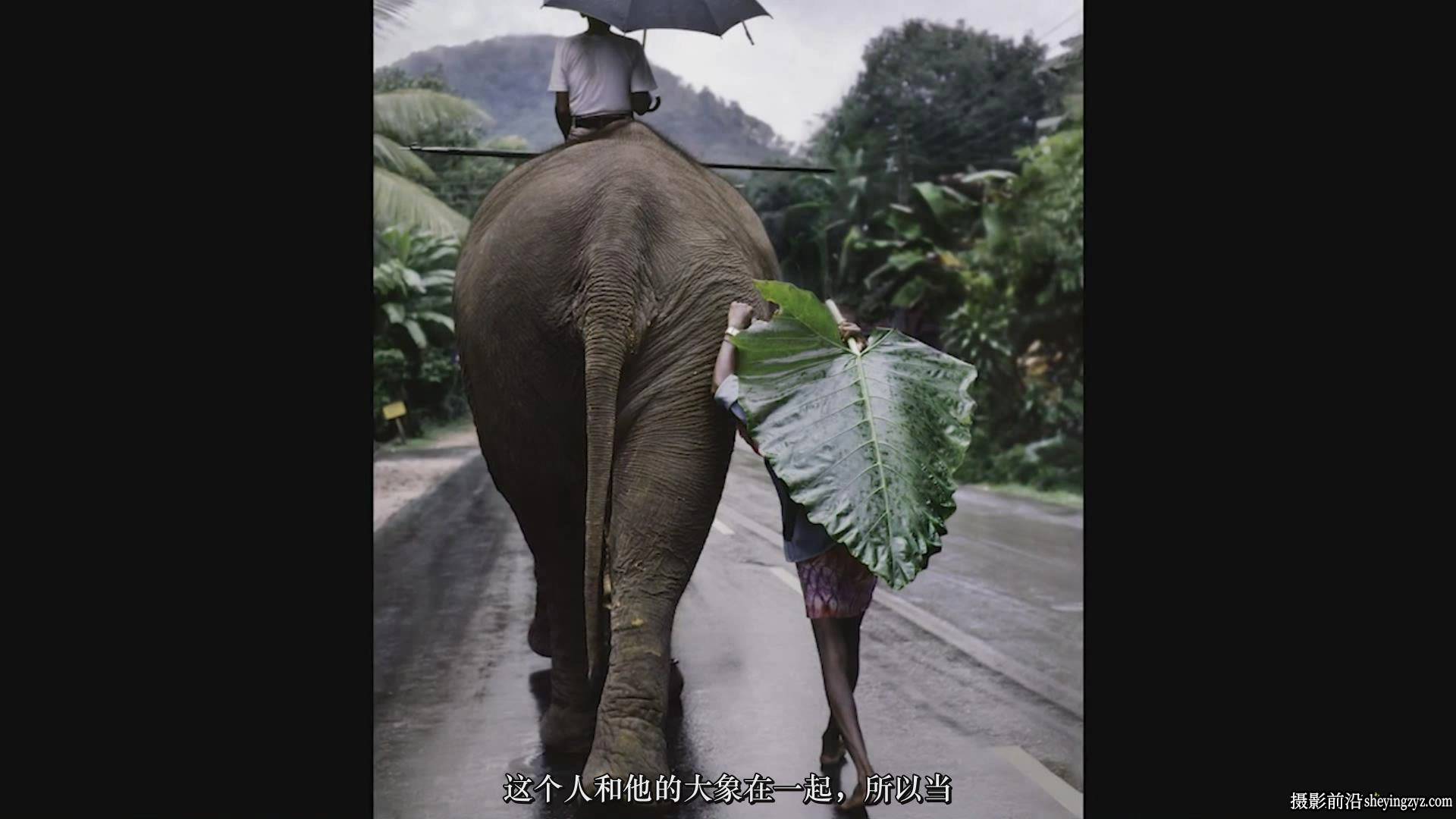 著名摄影大师Steve McCurry大师班摄影25课完整教程-中文字幕