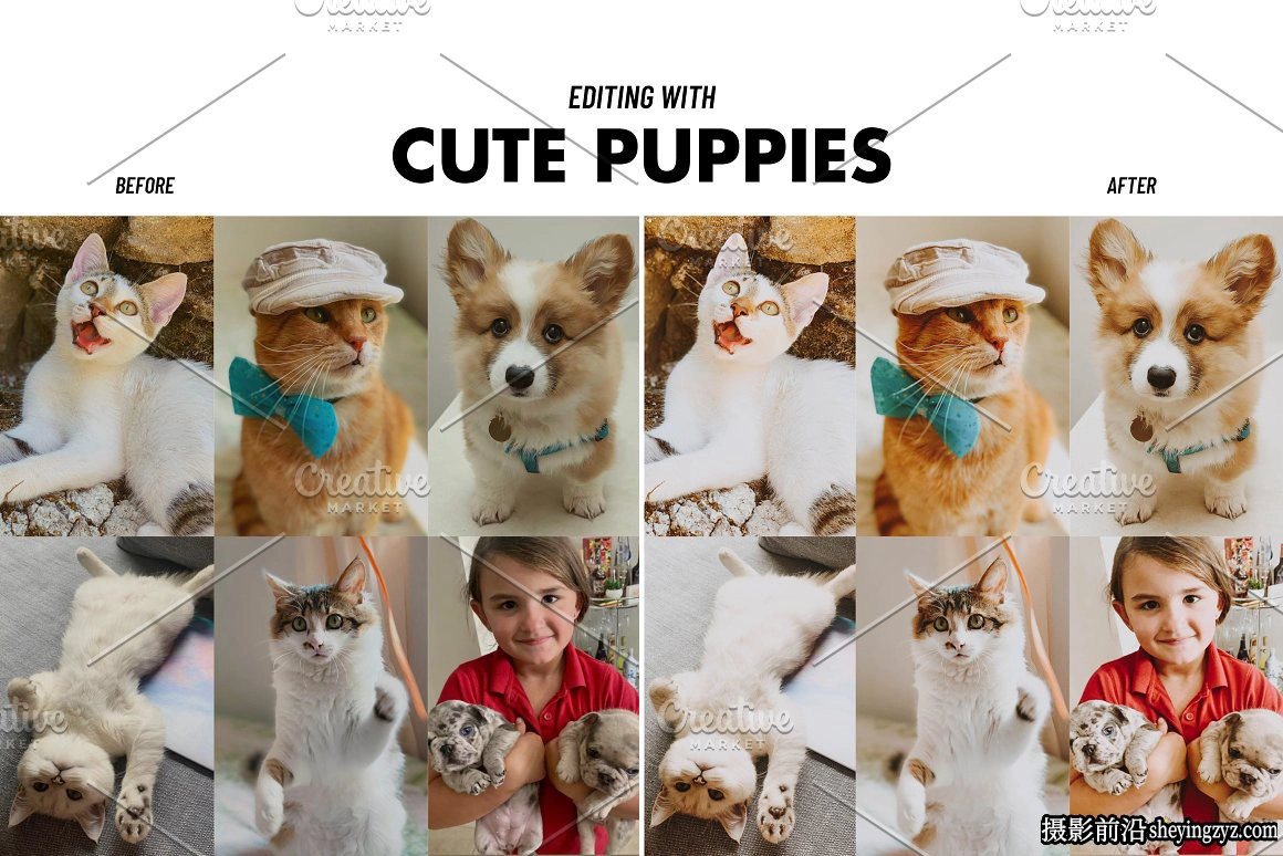290种最佳Lightroom预设合集包含29套All Shop Bundle Lightroom Presets