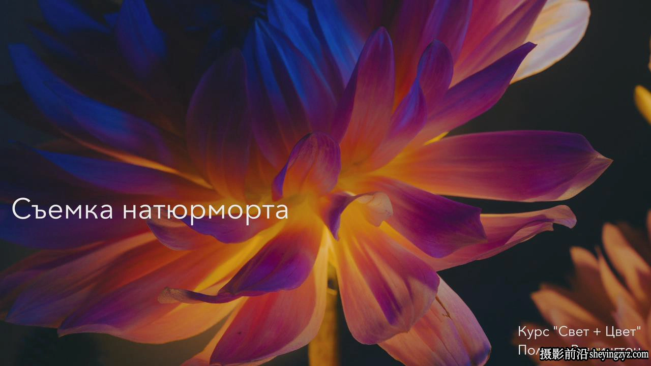 摄影师Polina Washington(光线和色彩)光影人像布光完整教程-中文字幕