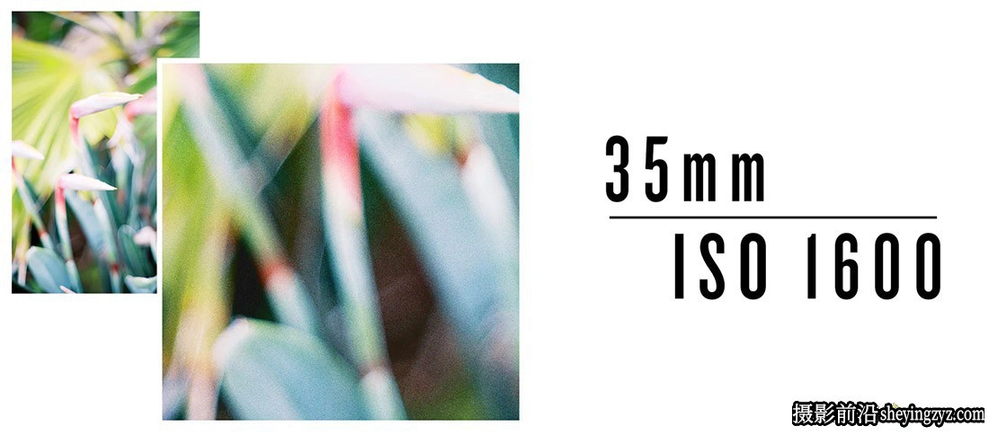 电影模拟胶片颗粒LR预设 The Archetype Process - The Film Grain
