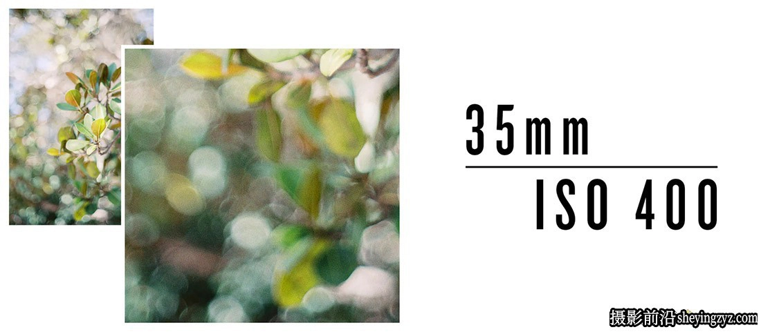 电影模拟胶片颗粒LR预设 The Archetype Process - The Film Grain