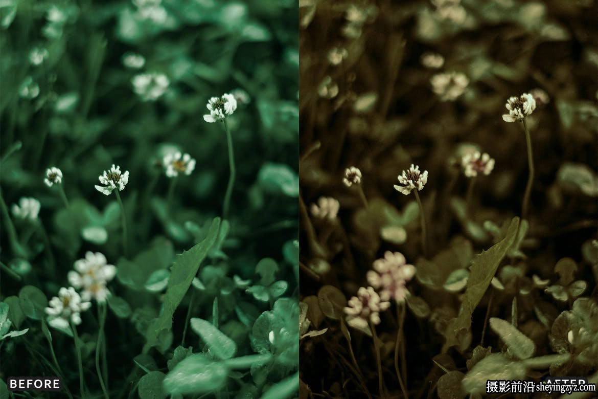 免费波西米亚风格暖色调人像LR预设 Bohemian Look Instagram Presets