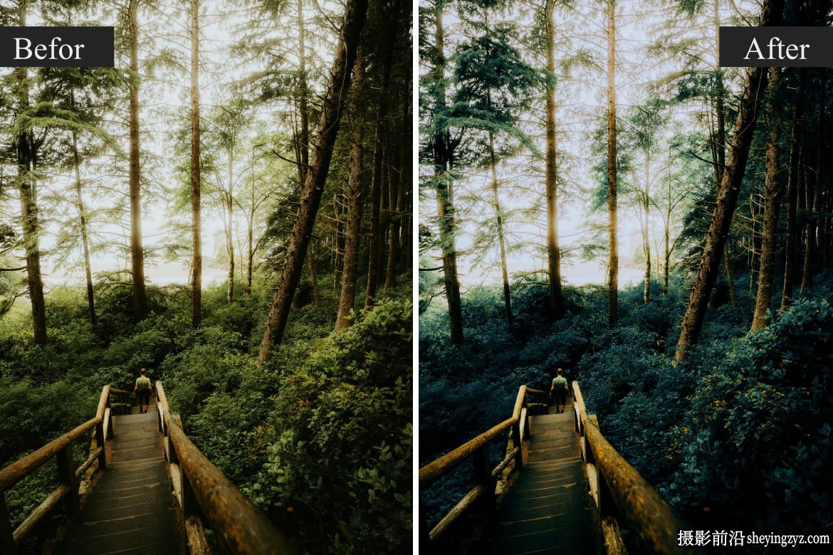 25种旅行电影胶片色彩LR预设/PS预设 Nature Ultra Lightroom Presets