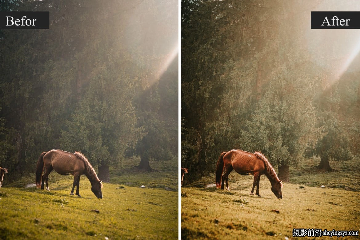 25种旅行博主人文风光lr预设/PS预设 Blogger Lightroom Presets