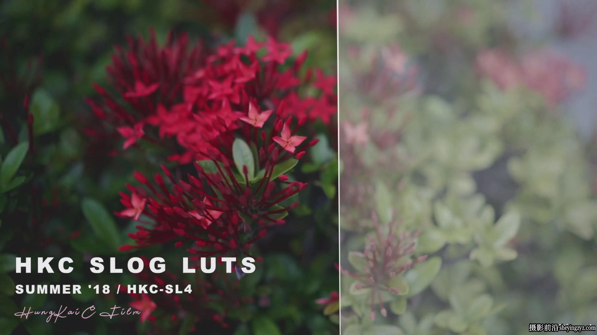 油管大神 HungKai Chen – SONY A7III SLOG LUT PACKLUT调色包
