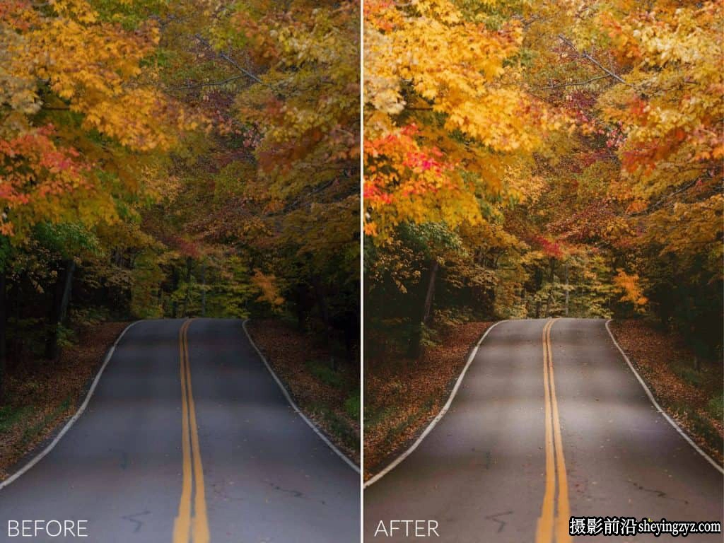 摄影师Sean Dalton金色秋日色彩秋季完美lr预设 Autumn Tones Preset