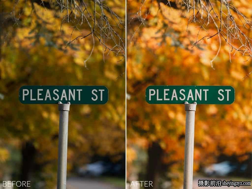 摄影师Sean Dalton金色秋日色彩秋季完美lr预设 Autumn Tones Preset