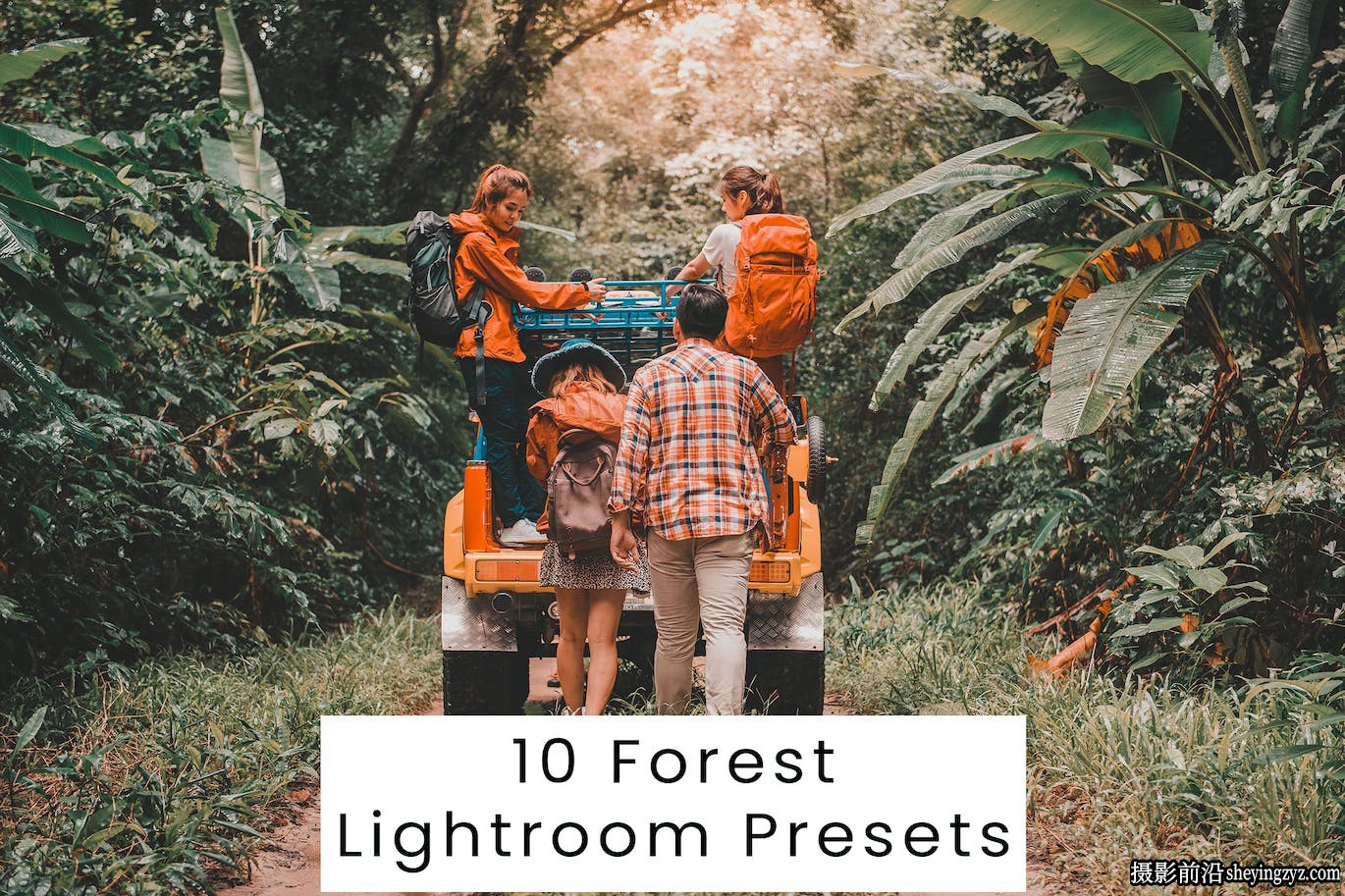 10种免费冒险旅拍电影风光lr预设 Forest Lightroom Presets