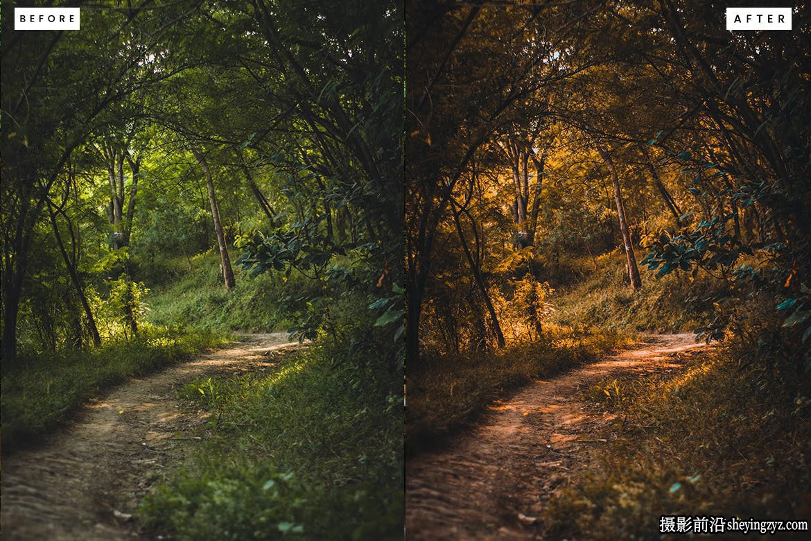 10种免费冒险旅拍电影风光lr预设 Forest Lightroom Presets