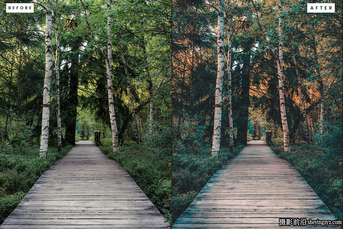 10种免费冒险旅拍电影风光lr预设 Forest Lightroom Presets