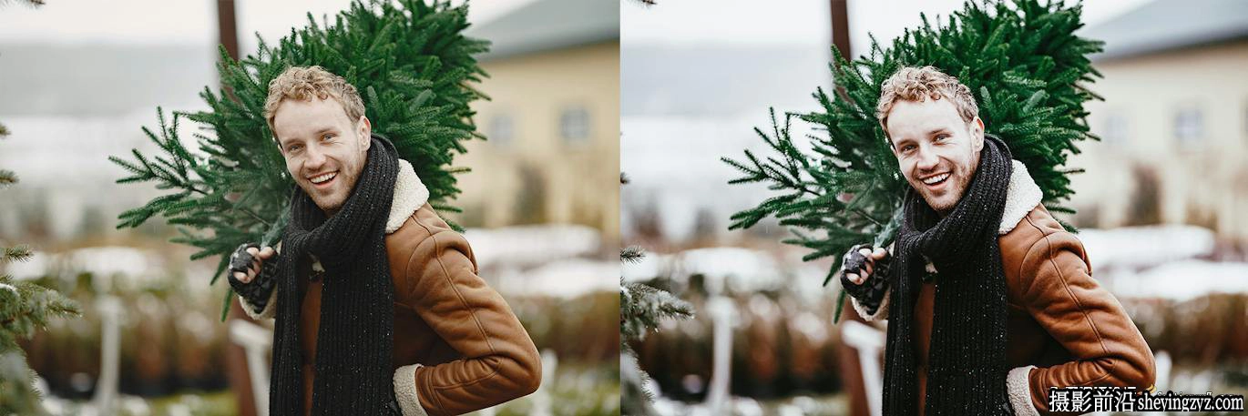 冬季旅拍人像调色lr预设及手机预设Tree Farm Lightroom Presets