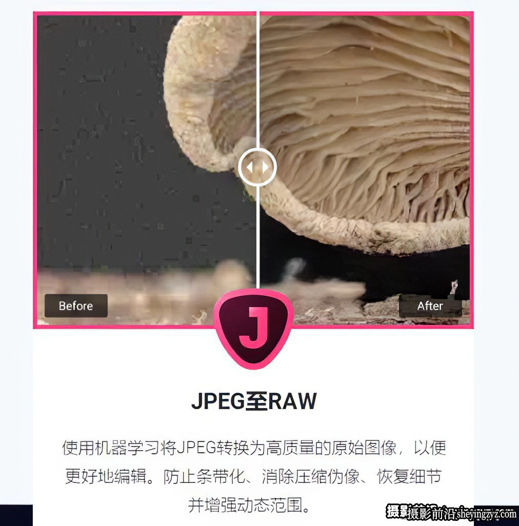 Topaz JPEG to RAW AI v2.2.1中文汉化版|JPEG转RAW格式软件