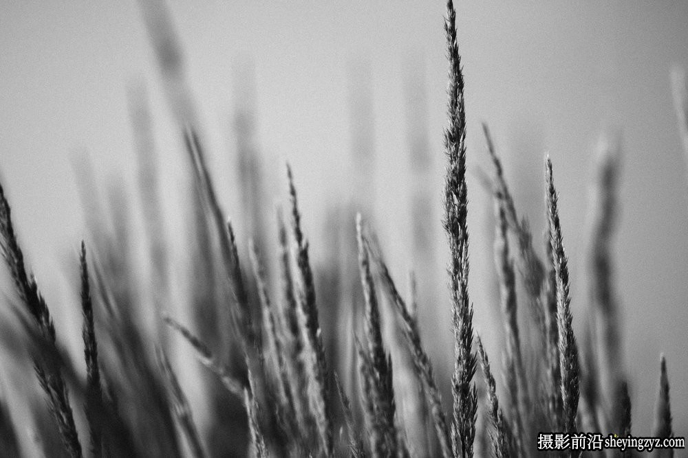 PETER DRASTRUP 纪实风光街拍高对比度黑白lr预设 BW5 PLUS Pushed