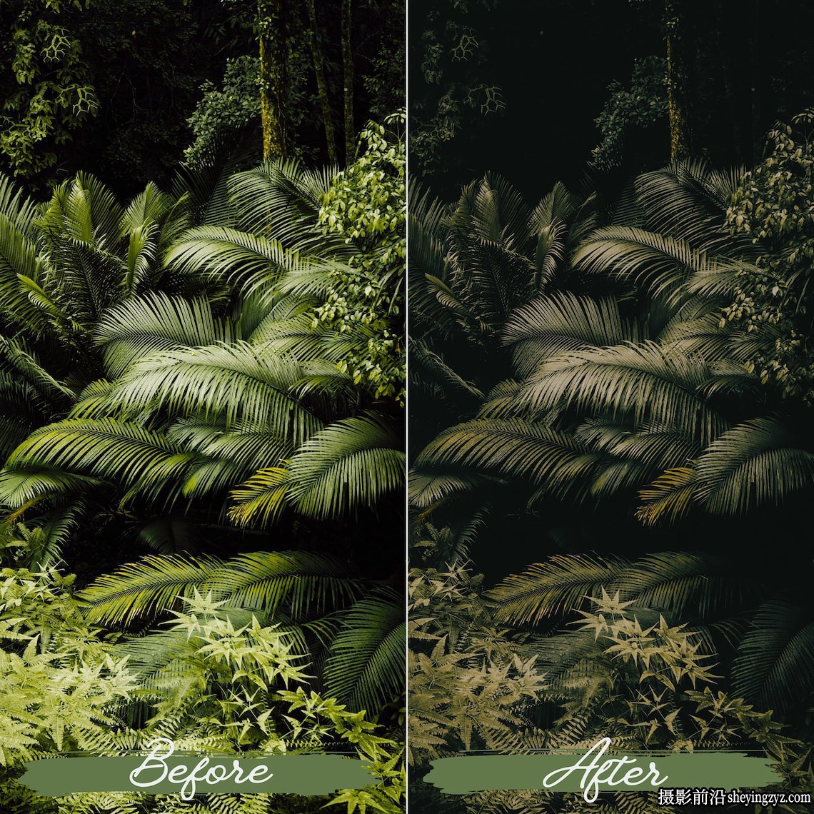 旅拍电影风光人像lr预设及手机lr预设 Soft Green Lightroom Presets