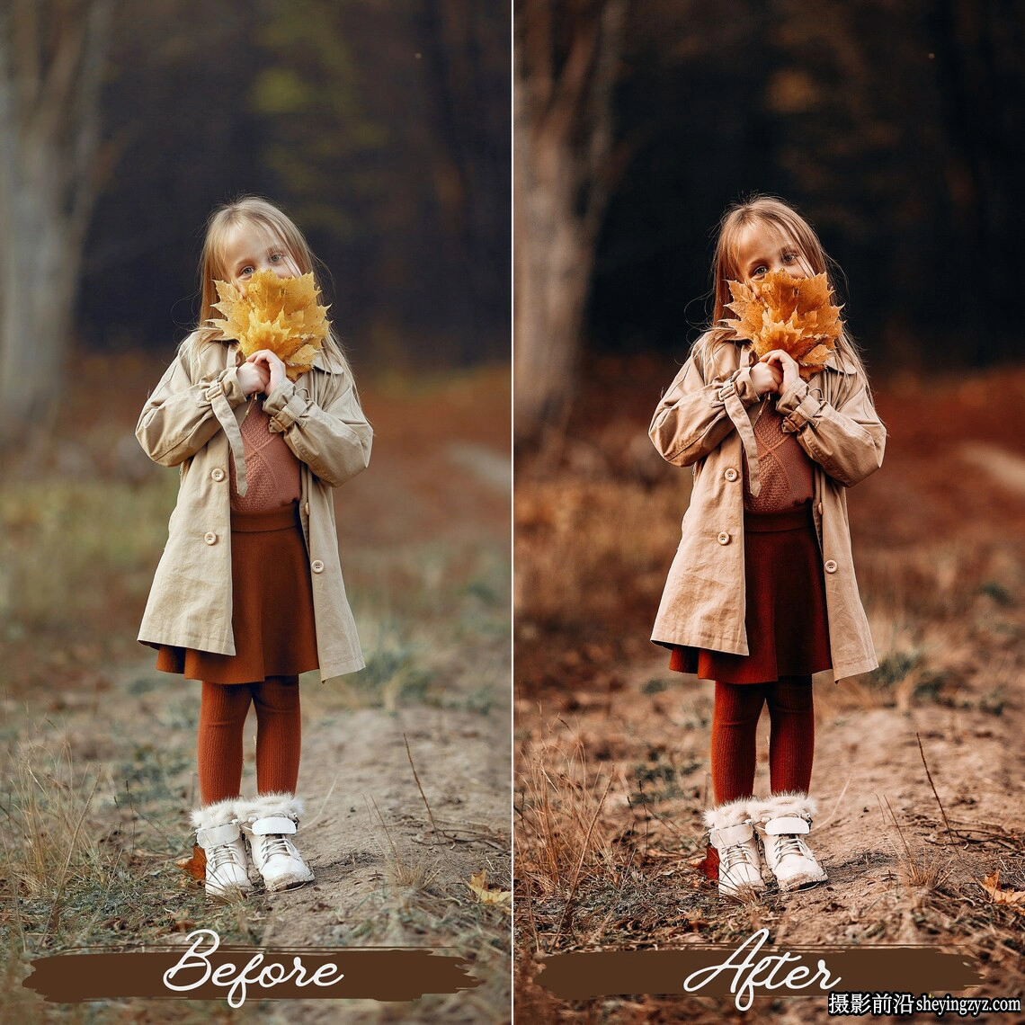 秋季浪漫人像调色lr预设及手机预设 Rustic Fall Lightroom Presets