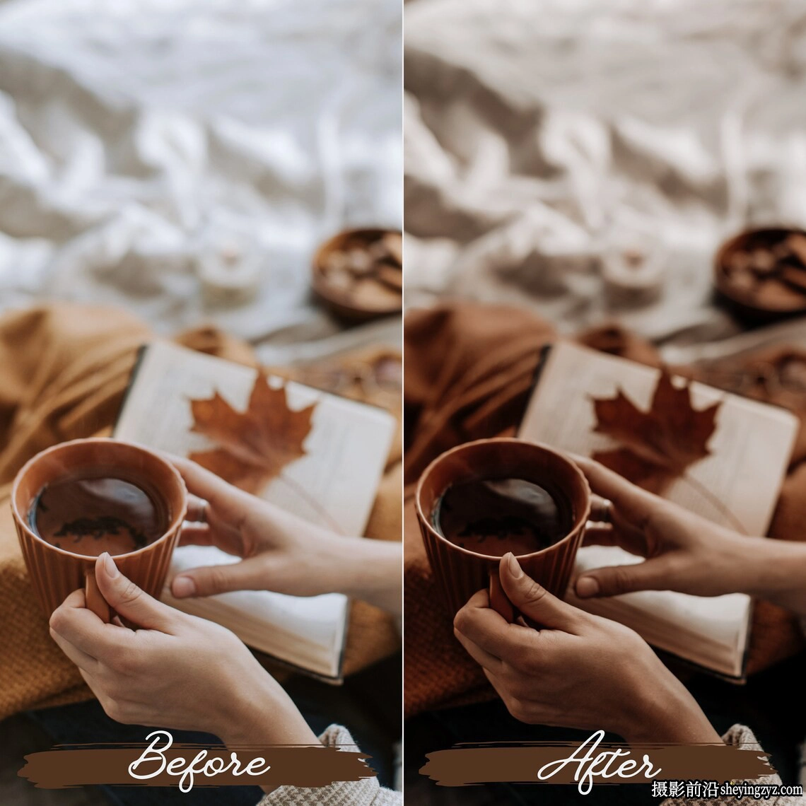 秋季浪漫人像调色lr预设及手机预设 Rustic Fall Lightroom Presets