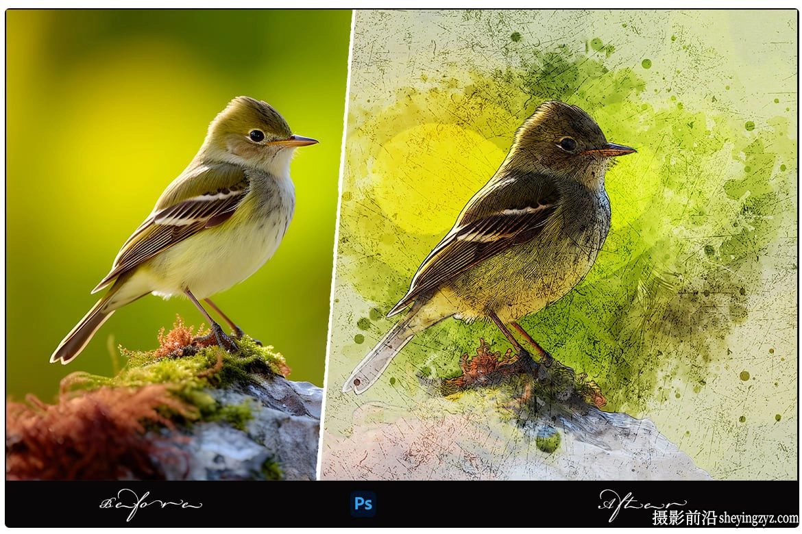 水彩颜料素描照片智能模版 Watercolor Paint Sketch Photo Effect
