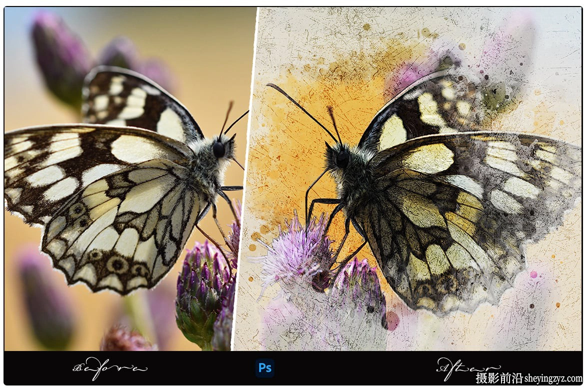 水彩颜料素描照片智能模版 Watercolor Paint Sketch Photo Effect