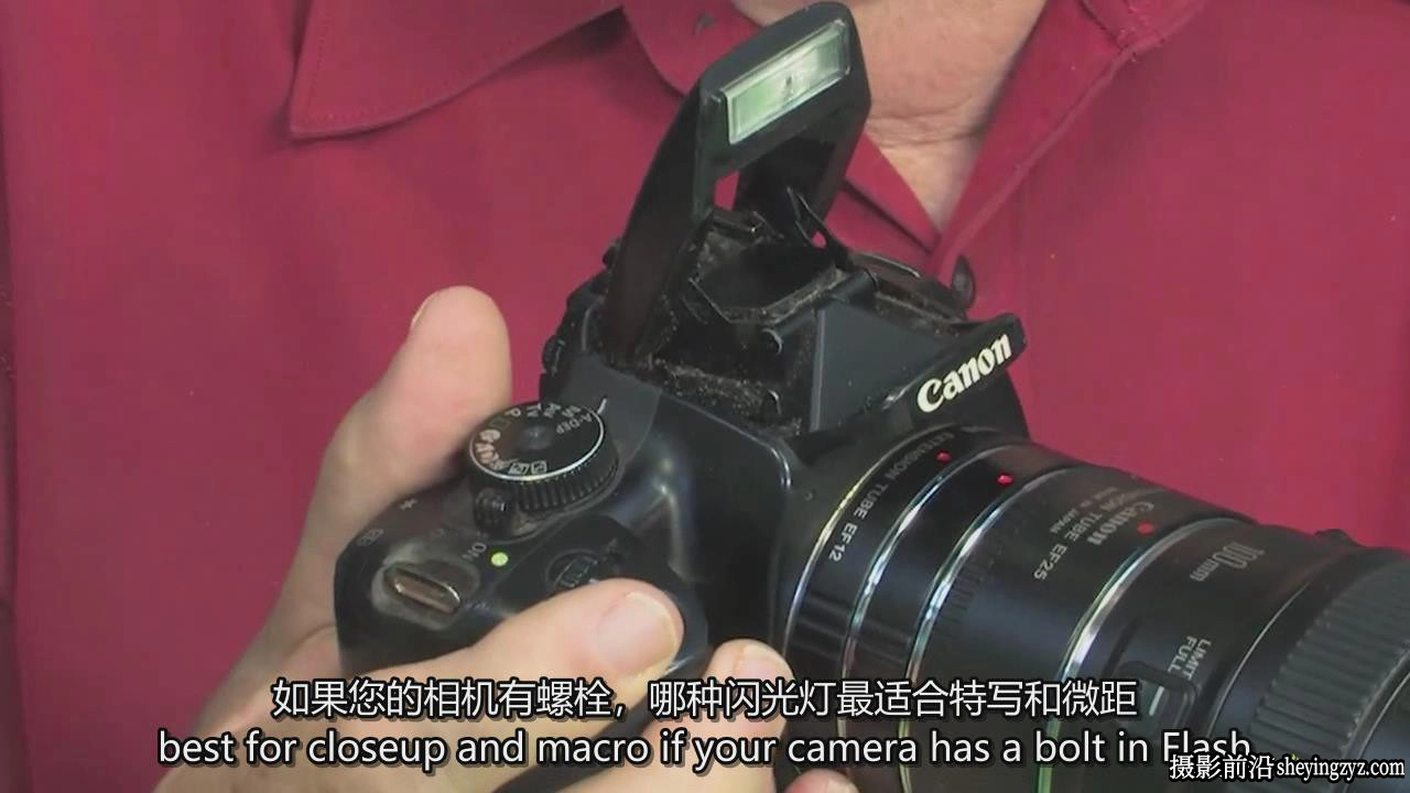 掌握特写和昆虫微距摄影以及焦点堆叠后期完整指南教程-中英字幕