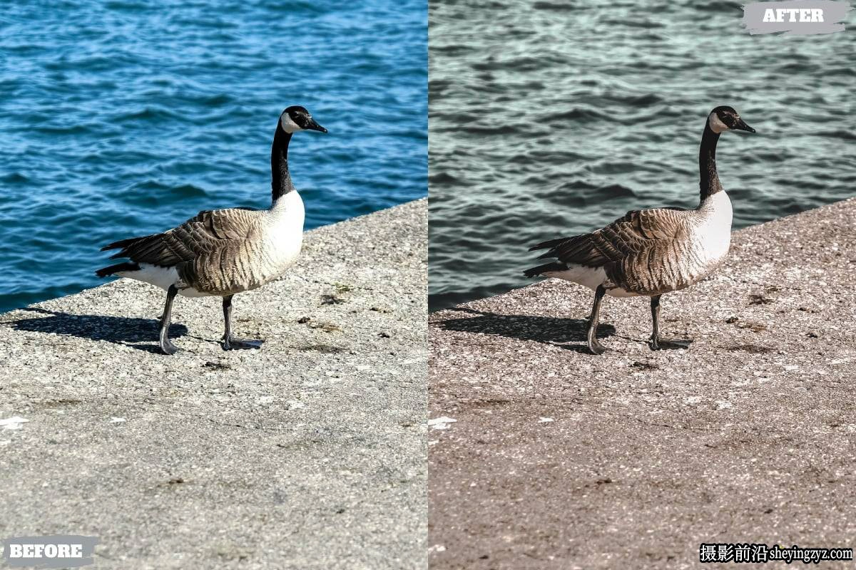 复古旅行电影Lr预设及手机lr预设 Vintage Warm Lightroom Presets